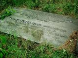 image of grave number 219746